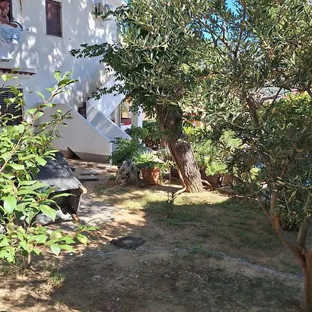 Mw, Plavi Daire