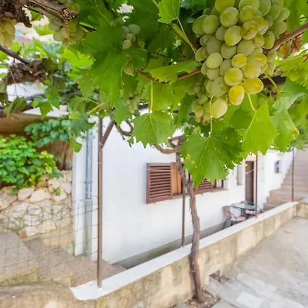 Apartmán Mw, Plavi *