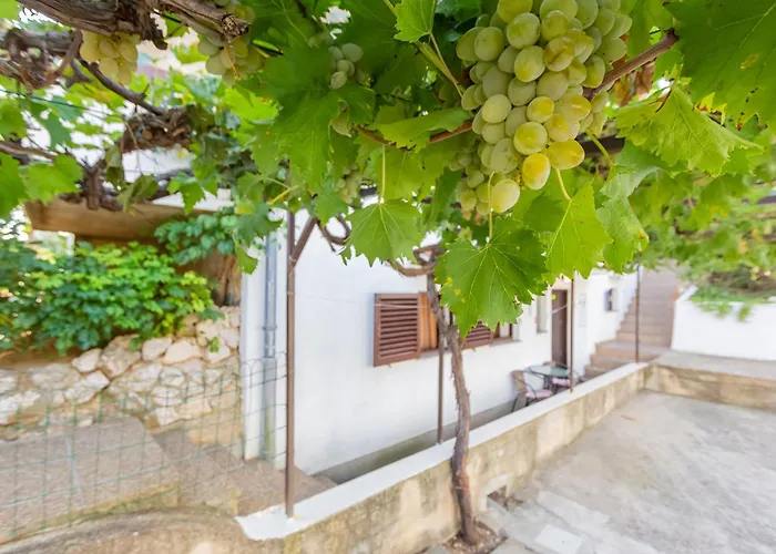 Apartman Mw, Plavi *